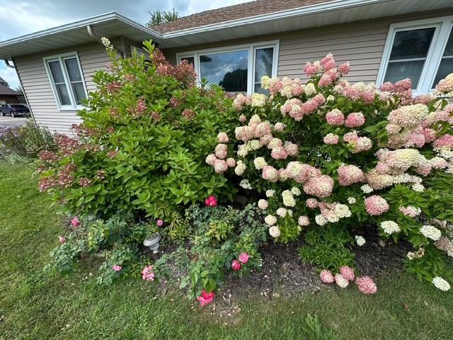 524 Irving Avenue SW