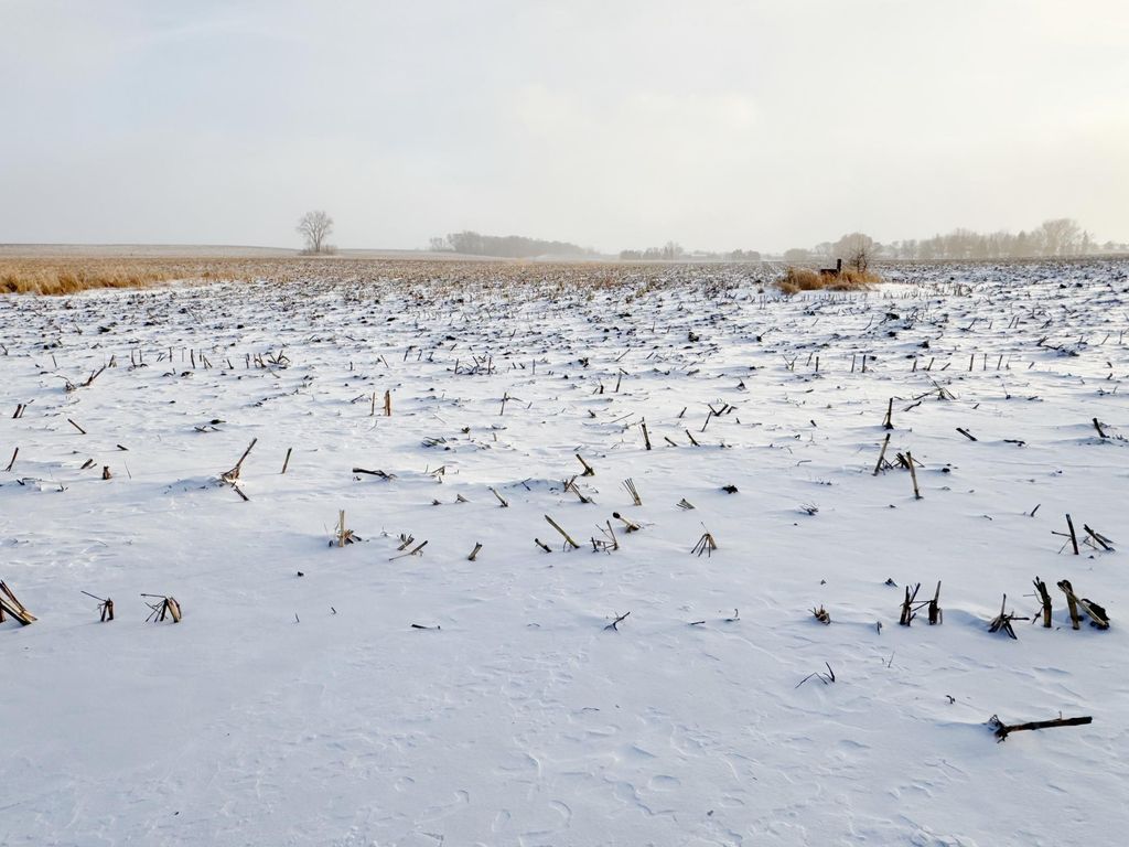 Photo of 124 Kaukis Drive, Le Sueur, MN 56058 (MLS # 7011863)