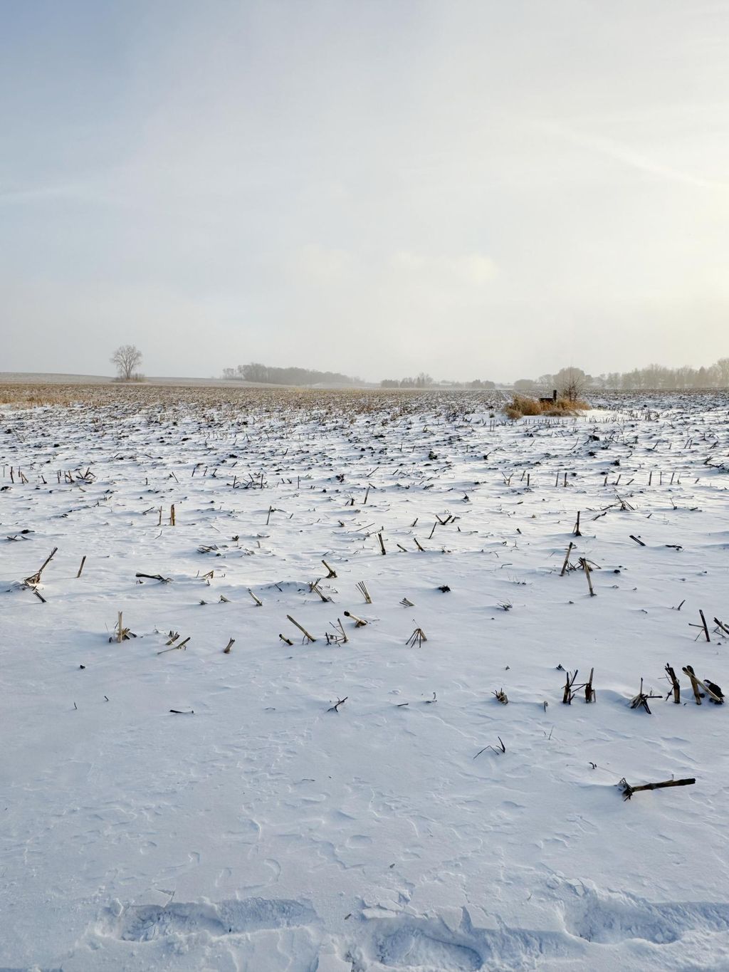 Photo of 124 Kaukis Drive, Le Sueur, MN 56058 (MLS # 7011863)