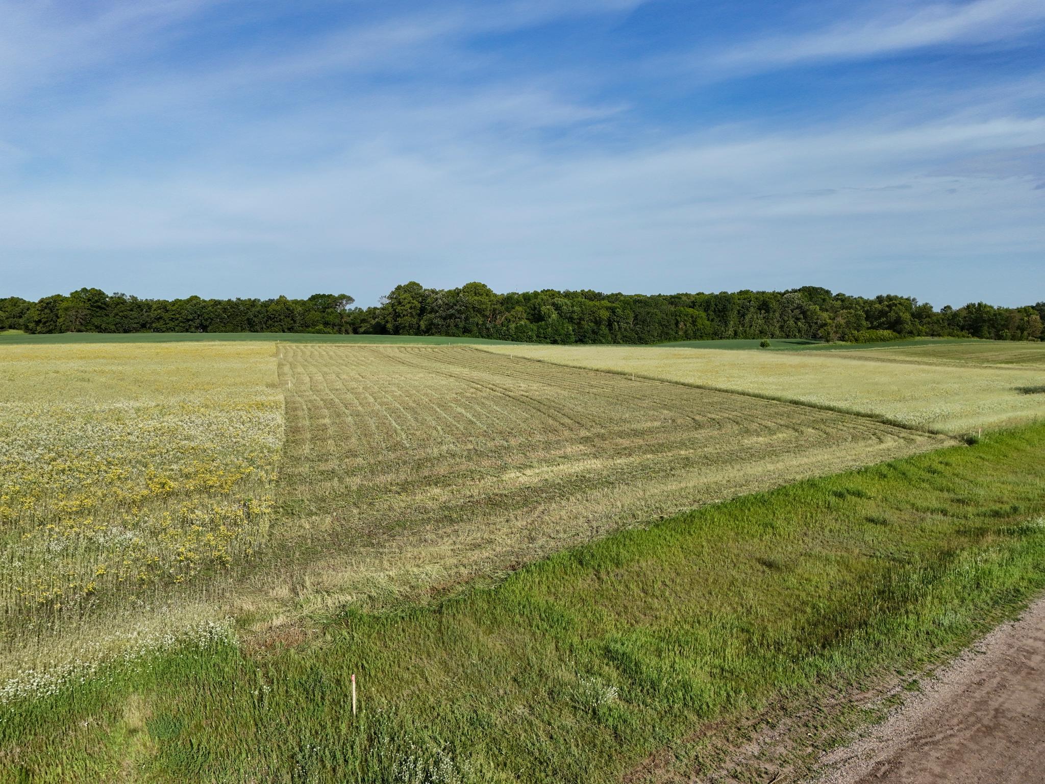 507XX 397th Ave [D2]