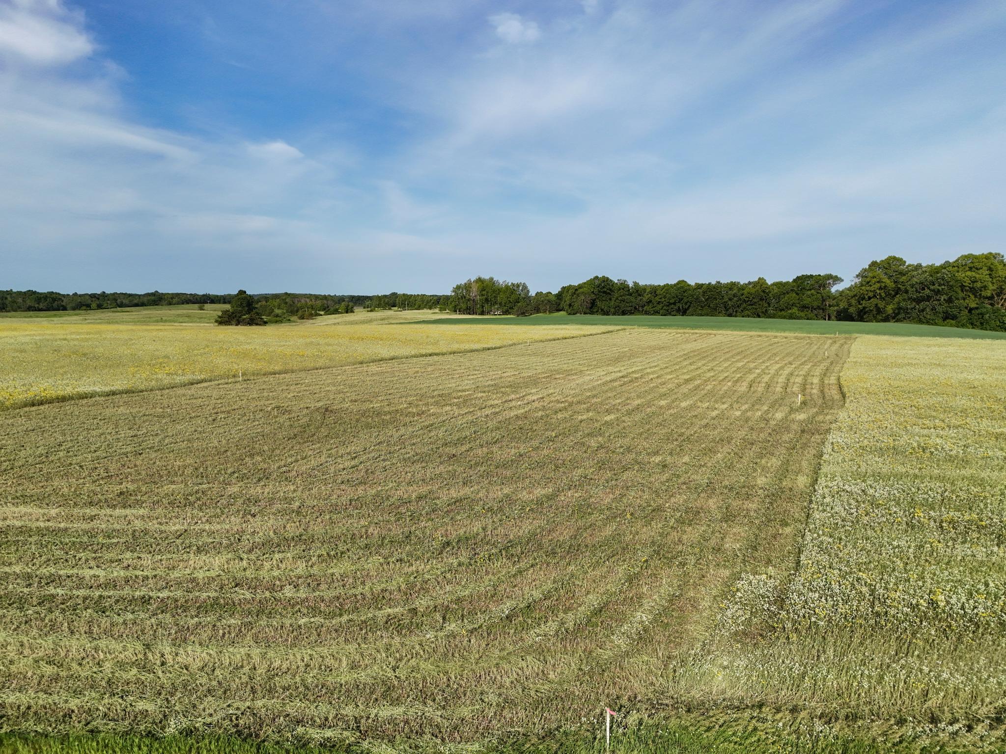 507XX 397th Ave [D2]