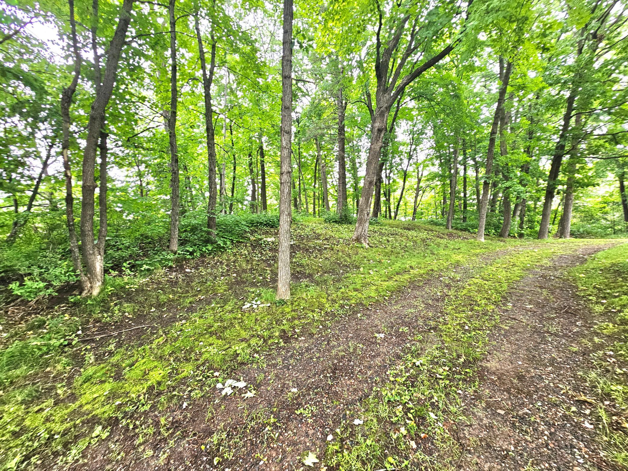 TBD East Grace Street - Photo 4