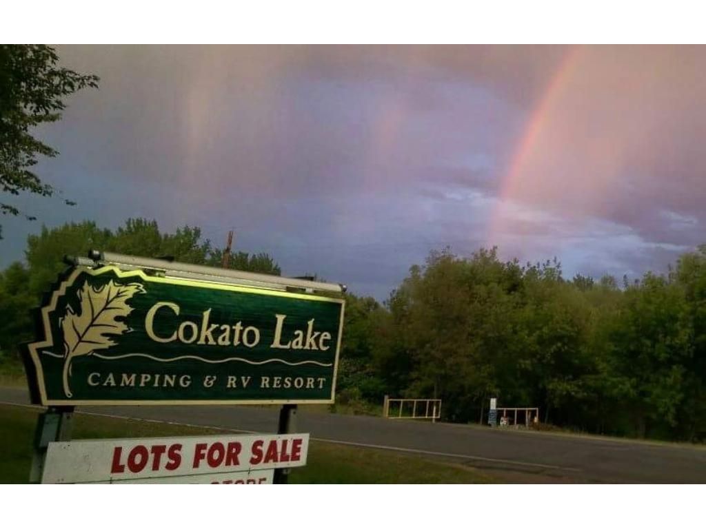 Photo of 2945 County Road 4 #121 SW, Cokato, MN 55321 (MLS # 7003527)