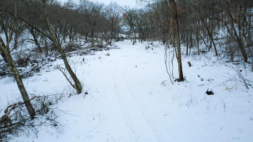 Photo of TBD Reck Lane, Whitehall, WI 54773 (MLS # 7005229)