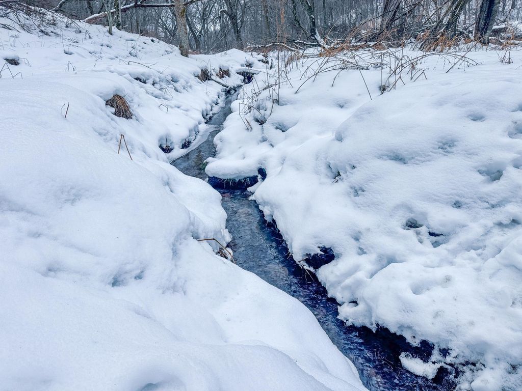 Photo of TBD Reck Lane, Whitehall, WI 54773 (MLS # 7005229)