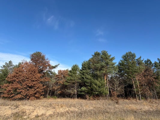 262ND AVE, BIG LAKE, MN 55309 - Image f17ecc1830408e43efee0955e558ced6/989619361