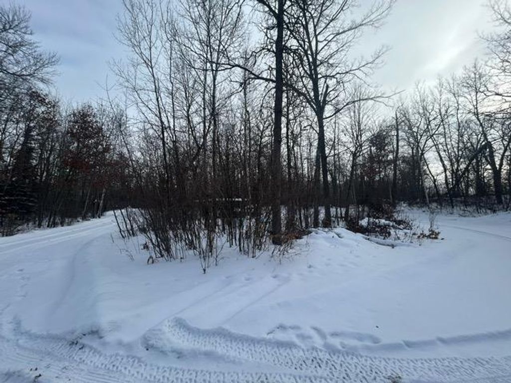 Photo of 49128 Sandy Oak Drive, Deer River, MN 56636 (MLS # 7013135)