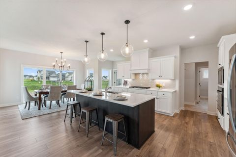 14355 Acer Avenue Rosemount MN 55068