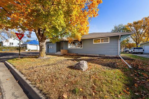Photo of 1043 Chase Avenue, Gibbon, MN 55335 (MLS # 6809290)