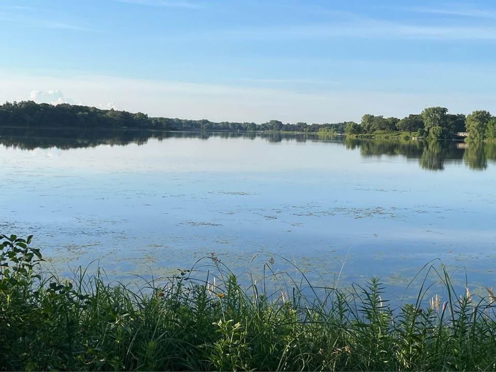 Photo of 993 Hyacinth Avenue E, Saint Paul, MN 55106 (MLS # 7048626)