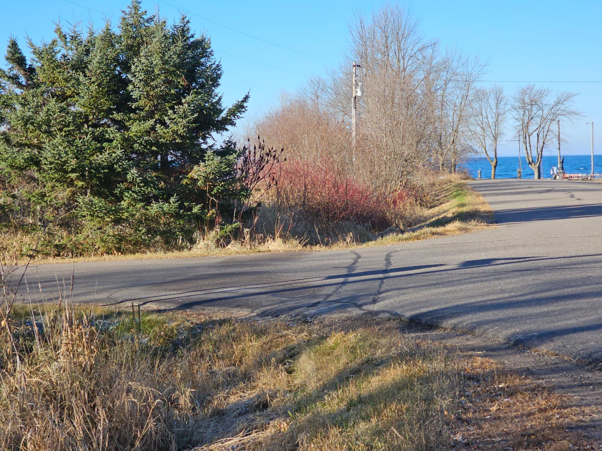 TBD Whistle Road/Hwy 47 - Photo 2