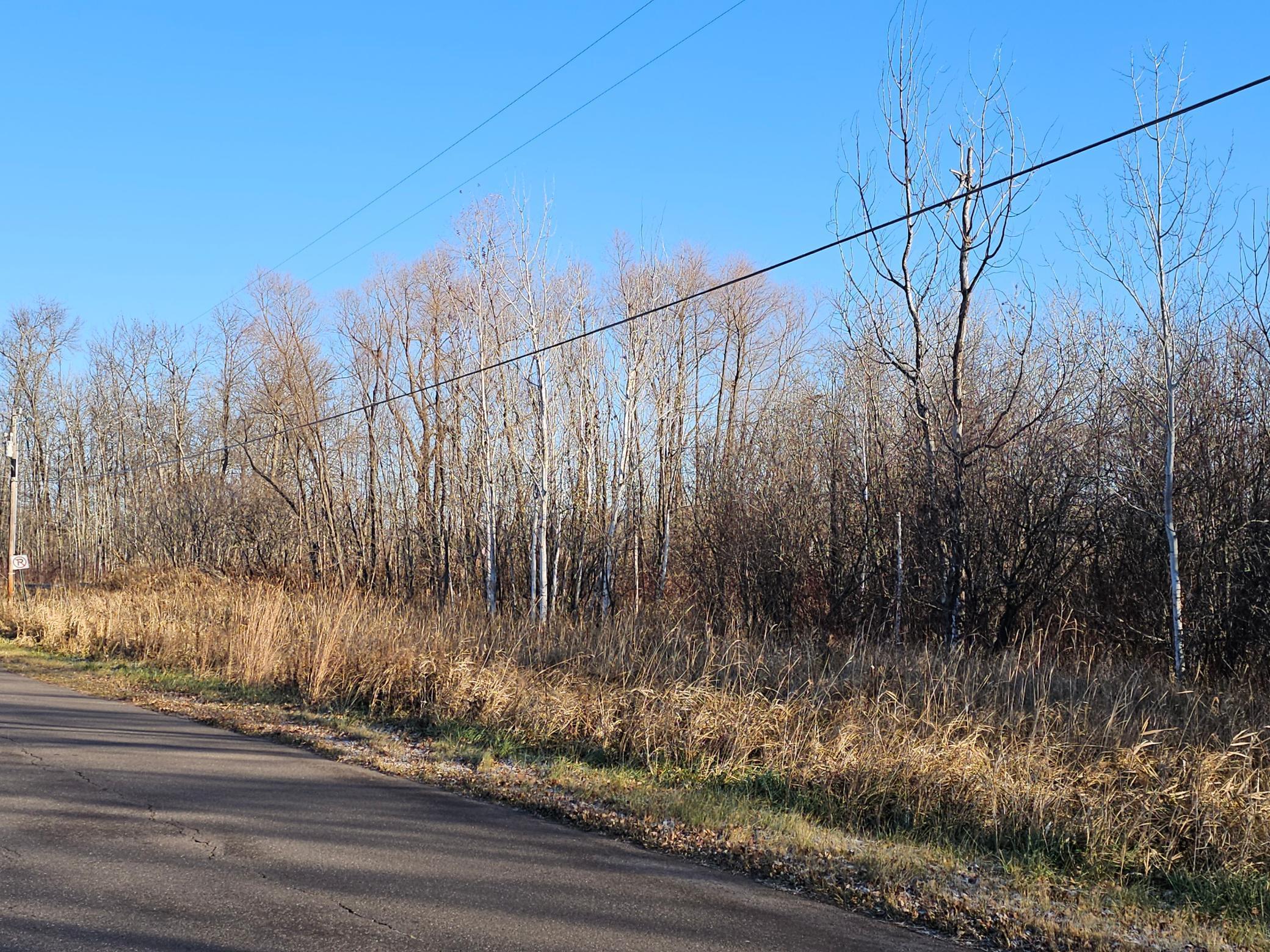 TBD Whistle Road/Hwy 47 - Photo 3