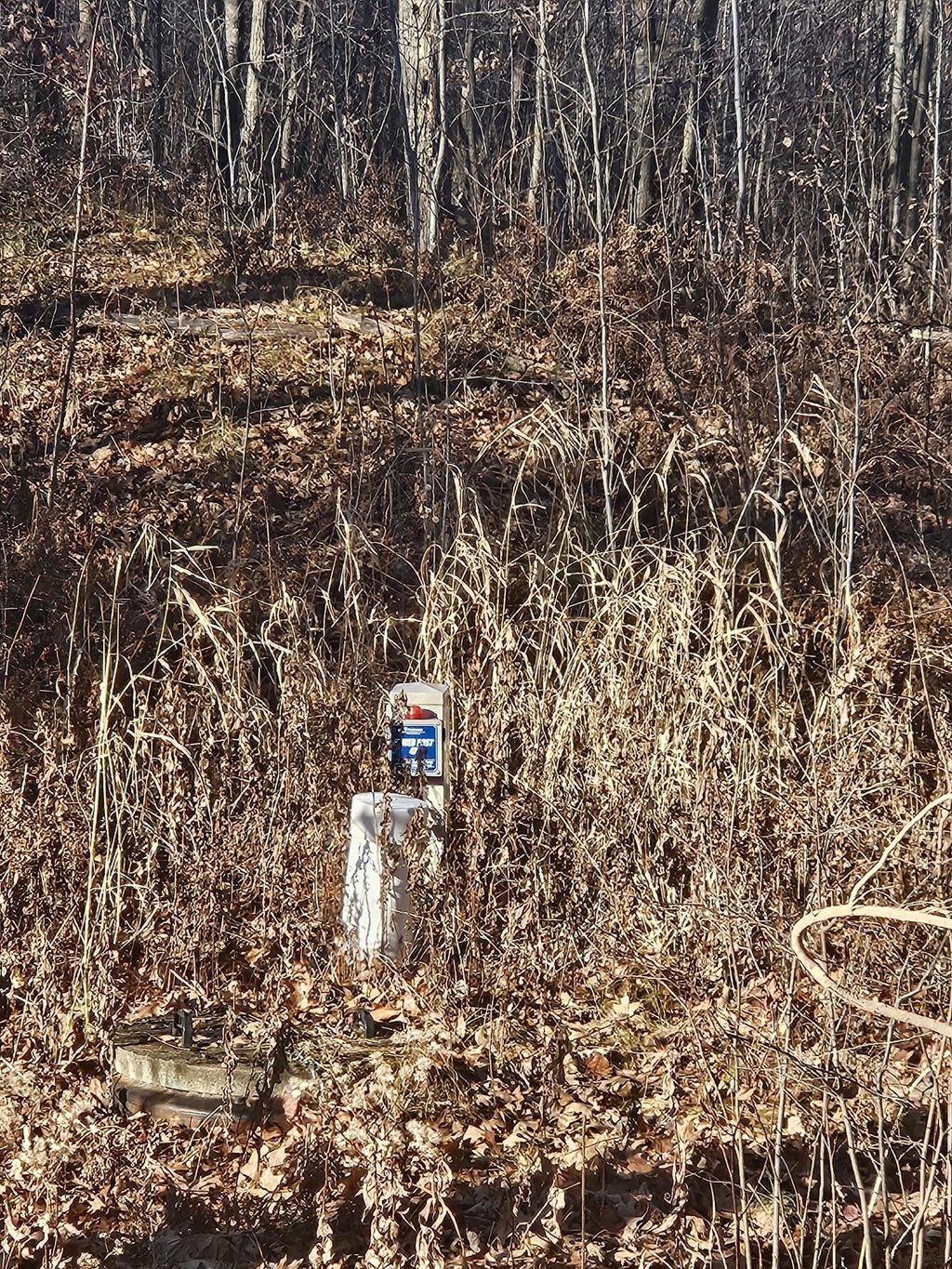 Photo of 2367 Sherwood Street, Brook Park, MN 55007 (MLS # 7001598)