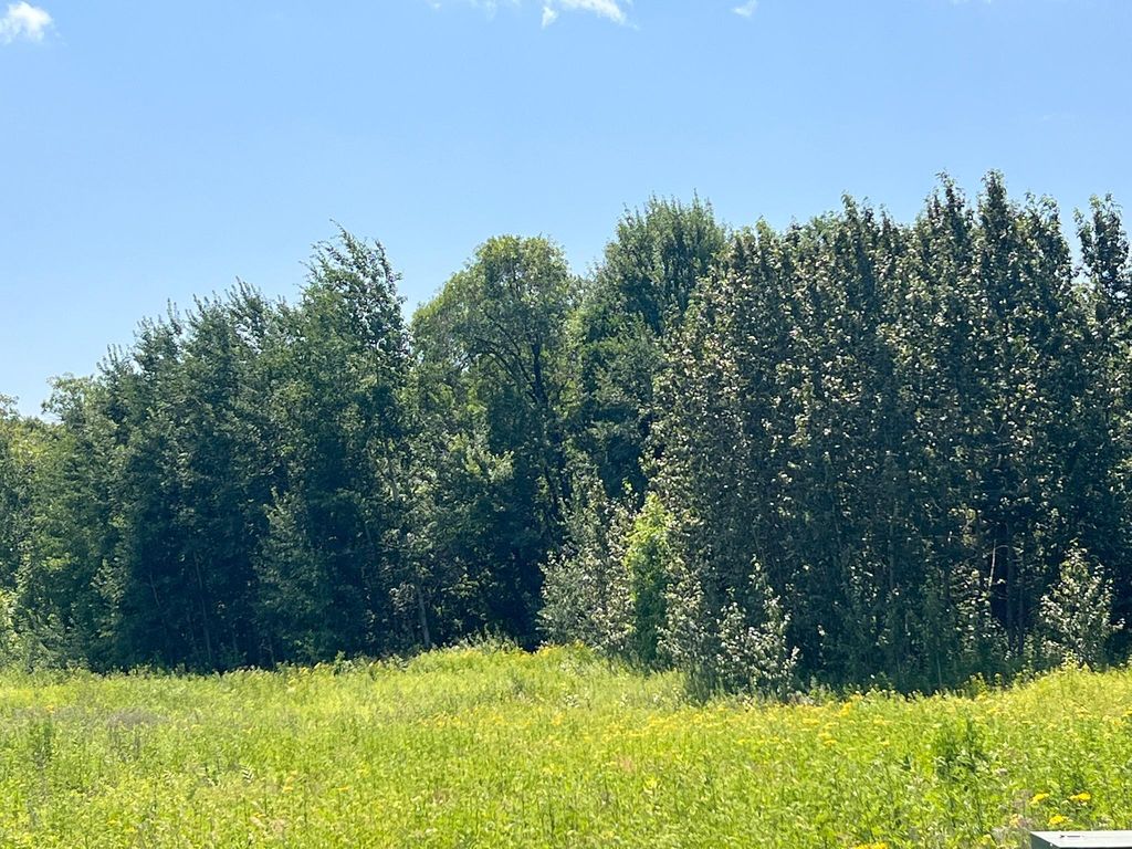 Photo of 36200 County Road 39, Laporte, MN 56461 (MLS # 7113171)