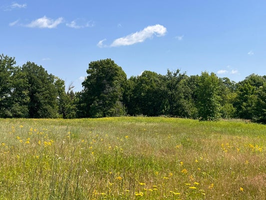 36200 COUNTY 39, LAPORTE, MN 56461 - Image f3e95c2e5016f93fefbca752e93870ea/631267689
