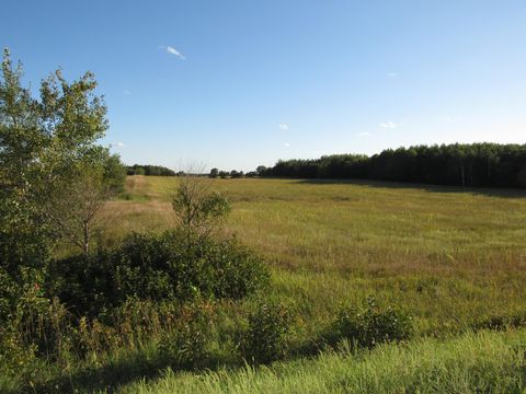TBD 12th PARCEL 8 Street SW Backus MN 56435
