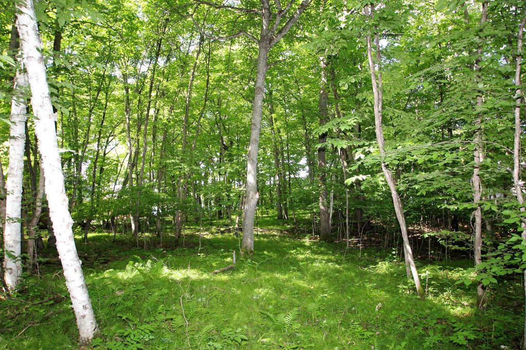 Photo of 4967X Fish Lake Road, Pelican Rapids, MN 56572 (MLS # 7048765)