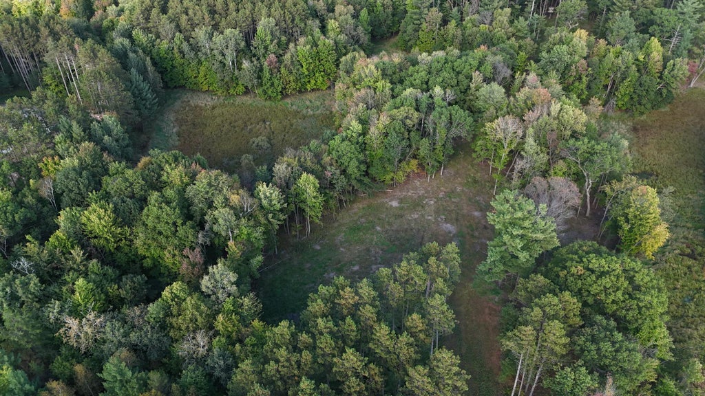 Photo of 3079 317th Court NW, Cambridge, MN 55008 (MLS # 7164792)
