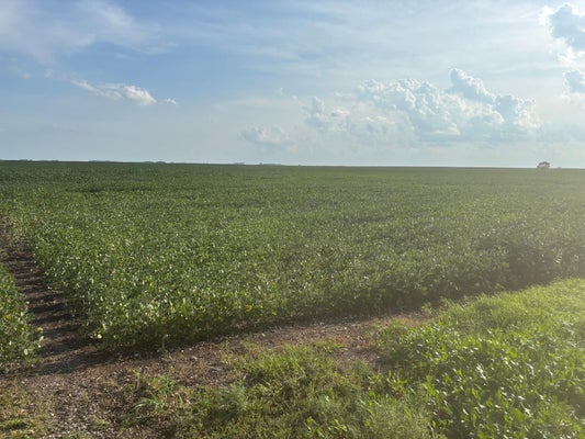 310TH ST AND 620TH AVE, CHOKIO, MN 56221 - Image f47c5540ca2a2b3cff89f51e3cbf68aa/1421817662