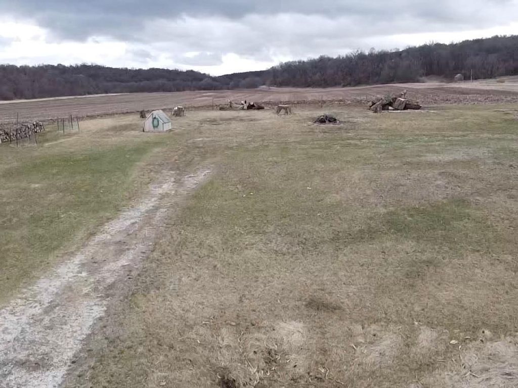 Photo of 30550 County 16, Harmony, MN 55939 (MLS # 7049248)