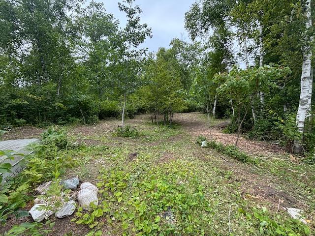 TBD Andrus Lake Trail NE