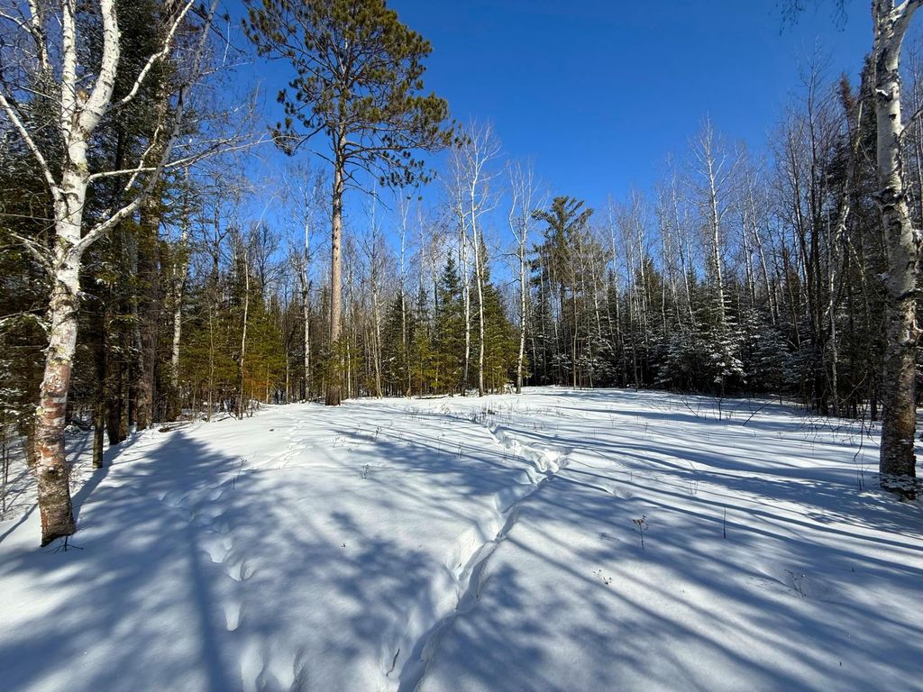 Photo of 72XXX E Central Lakes Road Lot B, Eveleth, MN 55734 (MLS # 7027898)