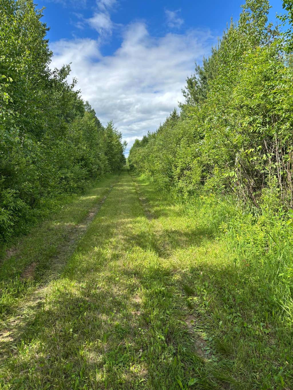 Photo of 10750 Groningen Road, Sandstone, MN 55072 (MLS # 7091646)