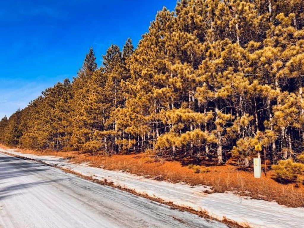 Photo of TBD Pine Cone Rd, Menahga, MN 56464 (MLS # 7022939)