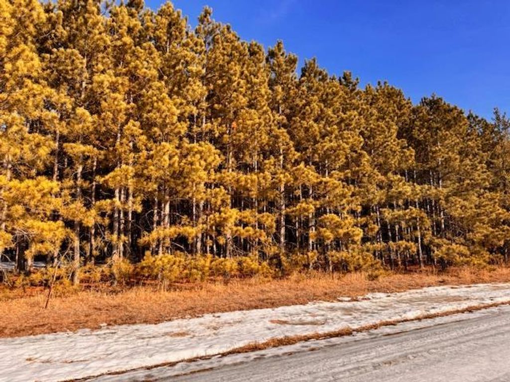 Photo of TBD Pine Cone Rd, Menahga, MN 56464 (MLS # 7022939)