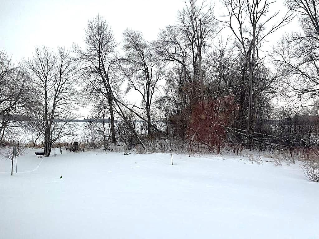 Photo of 1873 Charleston Lane, Waconia, MN 55387 (MLS # 7002801)