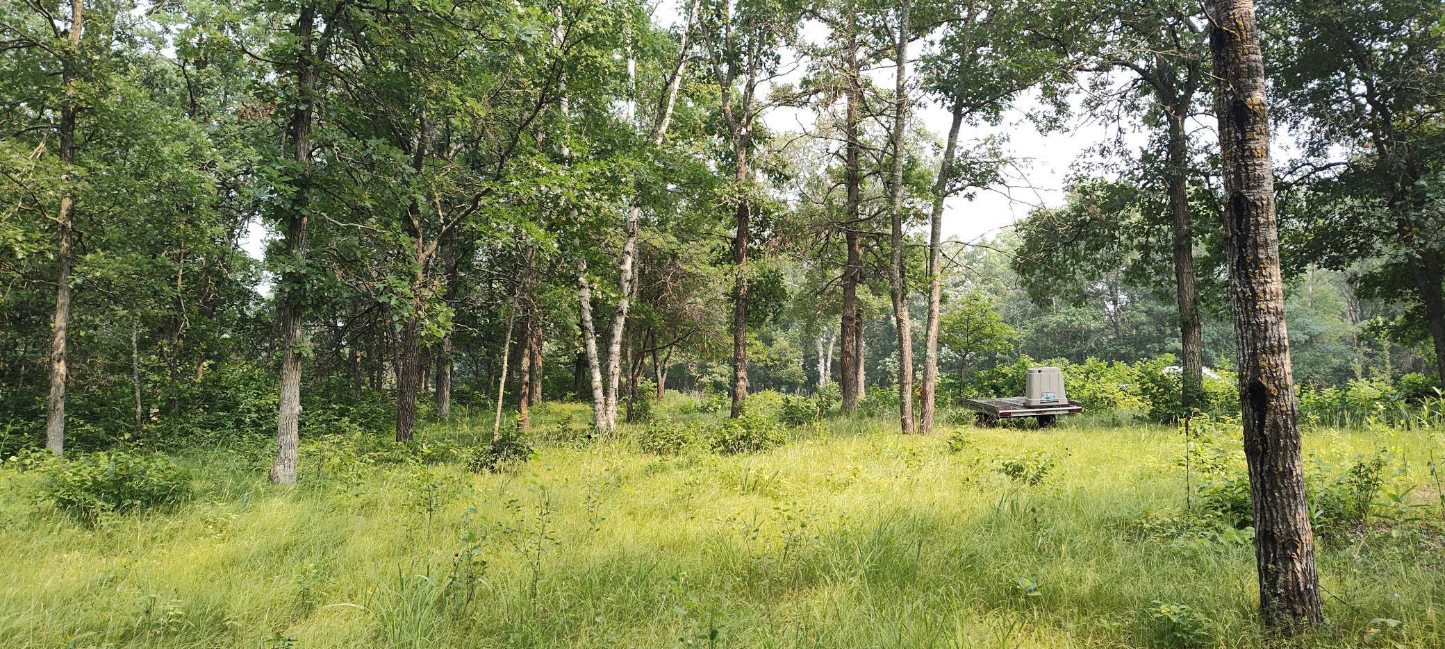 TBD E Blueberry River Drive