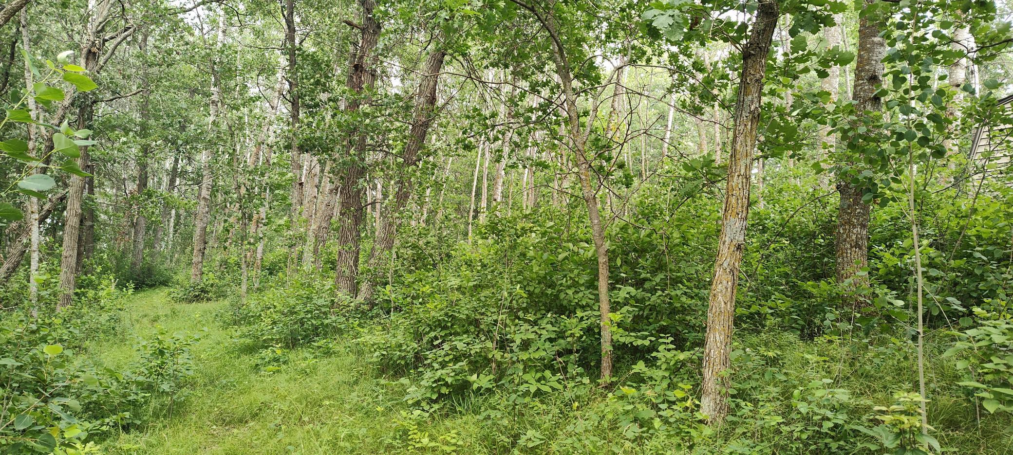TBD E Blueberry River Drive