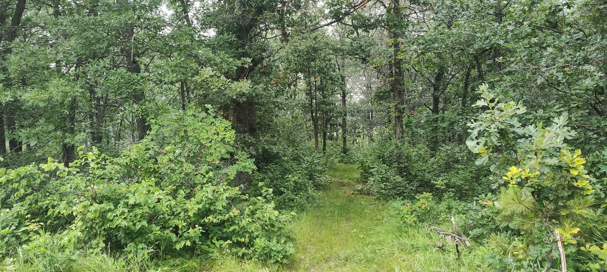 TBD E Blueberry River Drive