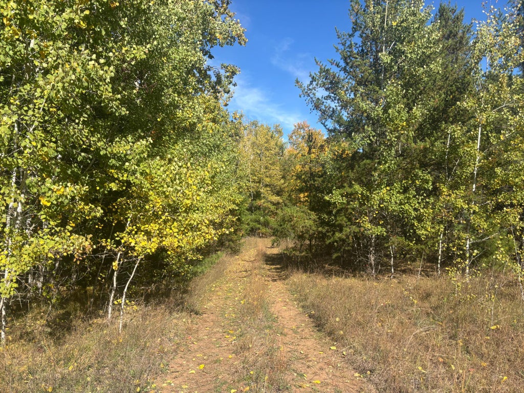 Photo of TBD Ferry, Grantsburg, WI 54840 (MLS # 7164194)