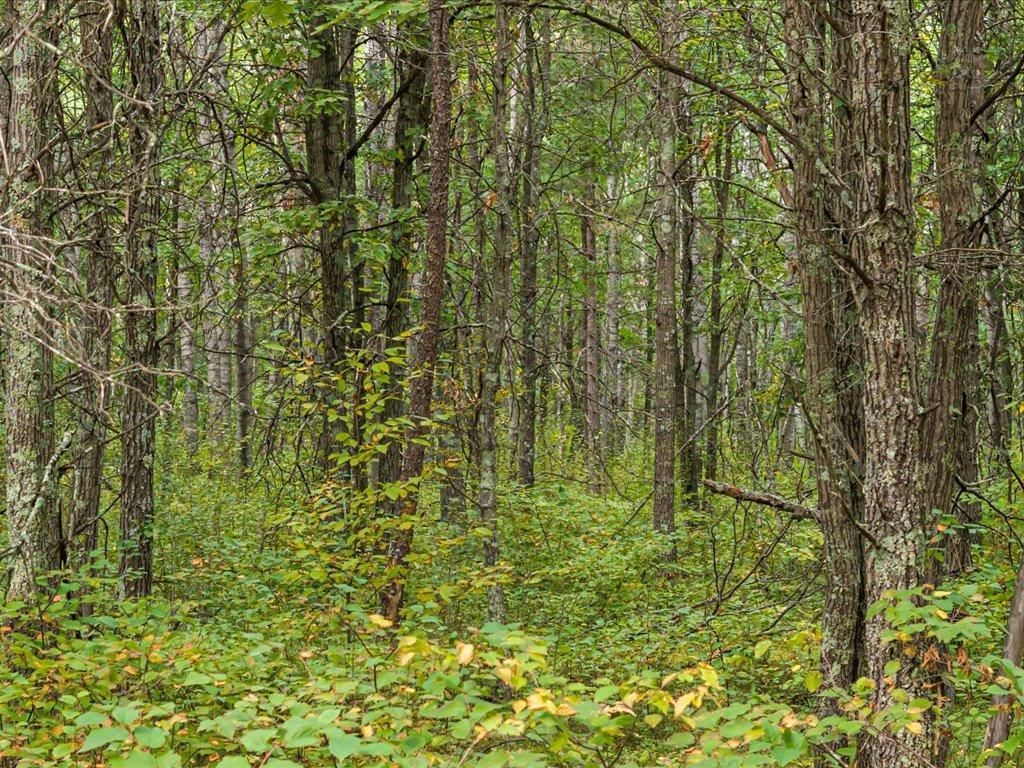 Photo of Lot E Sandbar Lane, Merrifield, MN 56465 (MLS # 7063137)