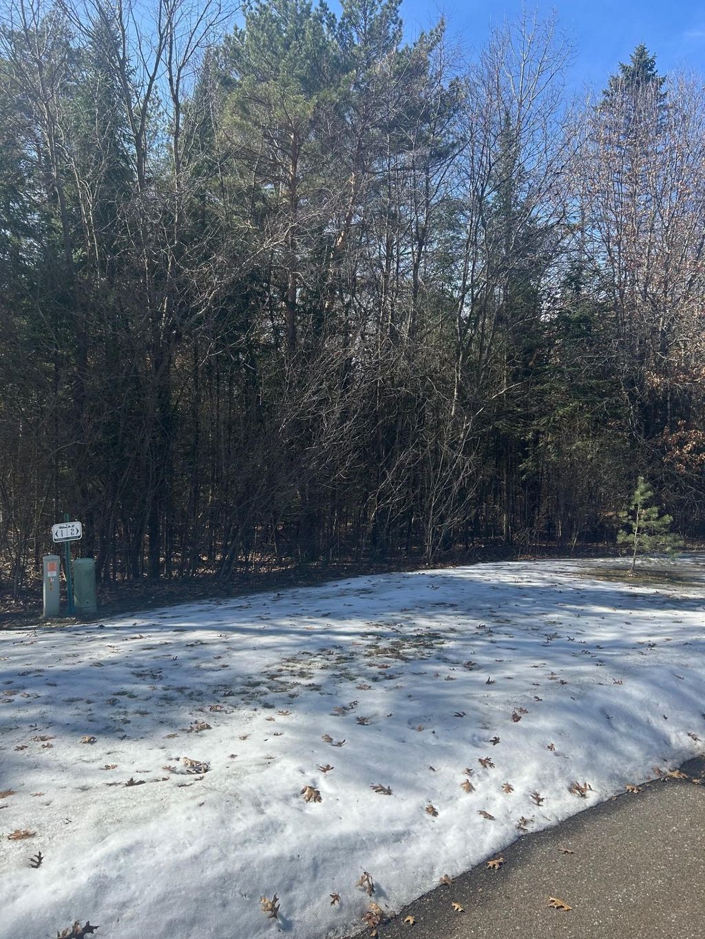 Photo of 13141 287th Avenue NW, Zimmerman, MN 55398 (MLS # 7043372)