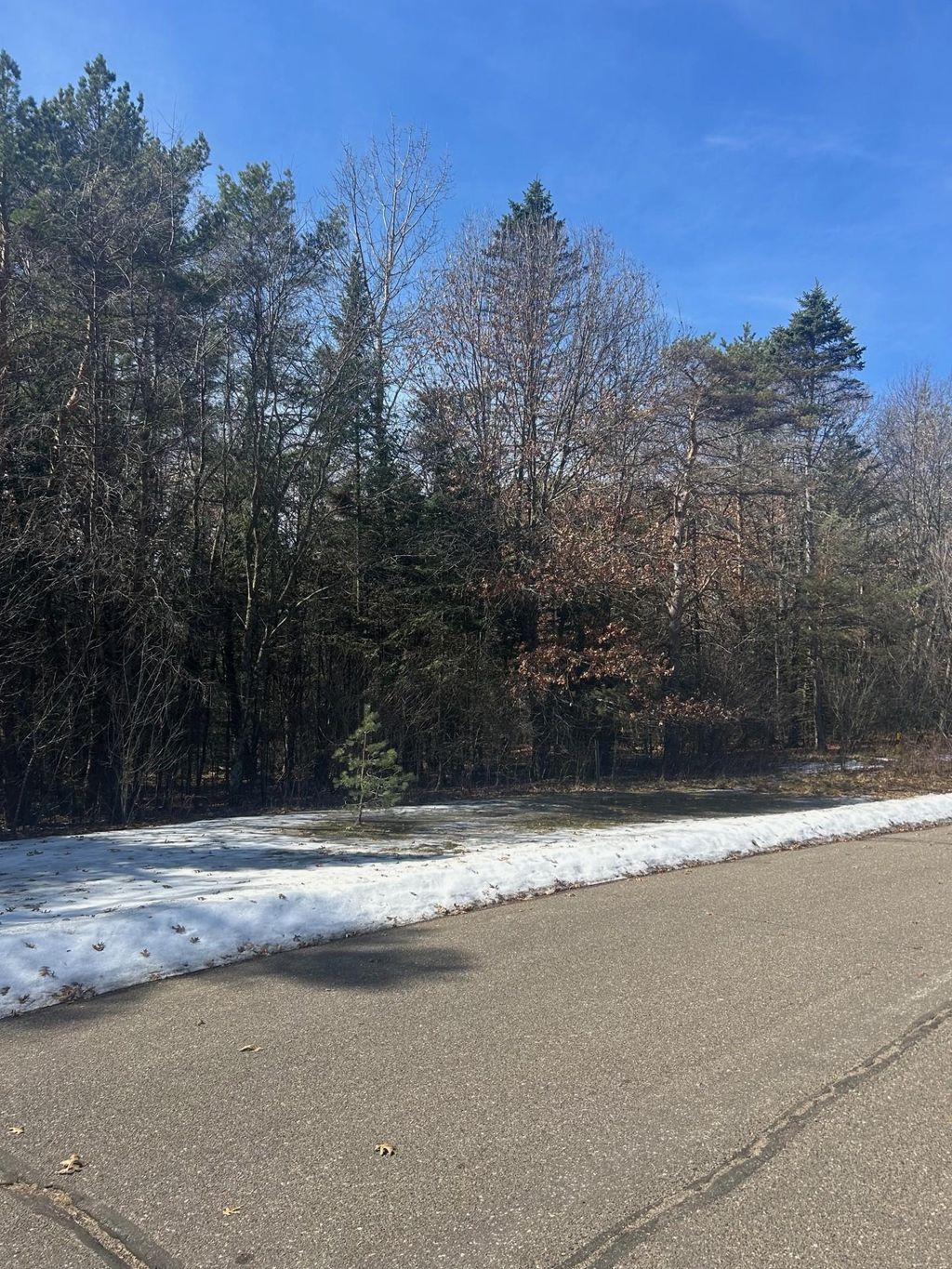 Photo of 13141 287th Avenue NW, Zimmerman, MN 55398 (MLS # 7043372)