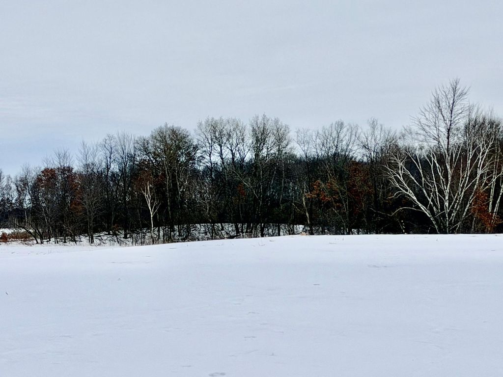 Photo of XXXXX Oxboro Ave N, Scandia, MN 55073 (MLS # 7018225)