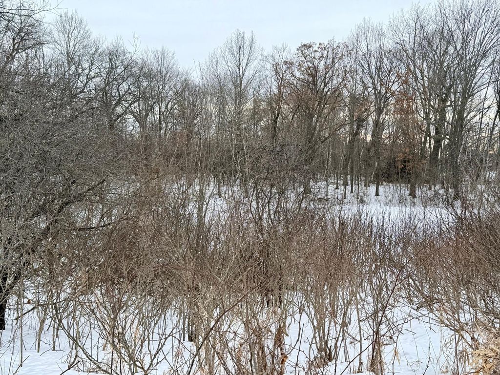 Photo of XXXXX Oxboro Ave N, Scandia, MN 55073 (MLS # 7018225)