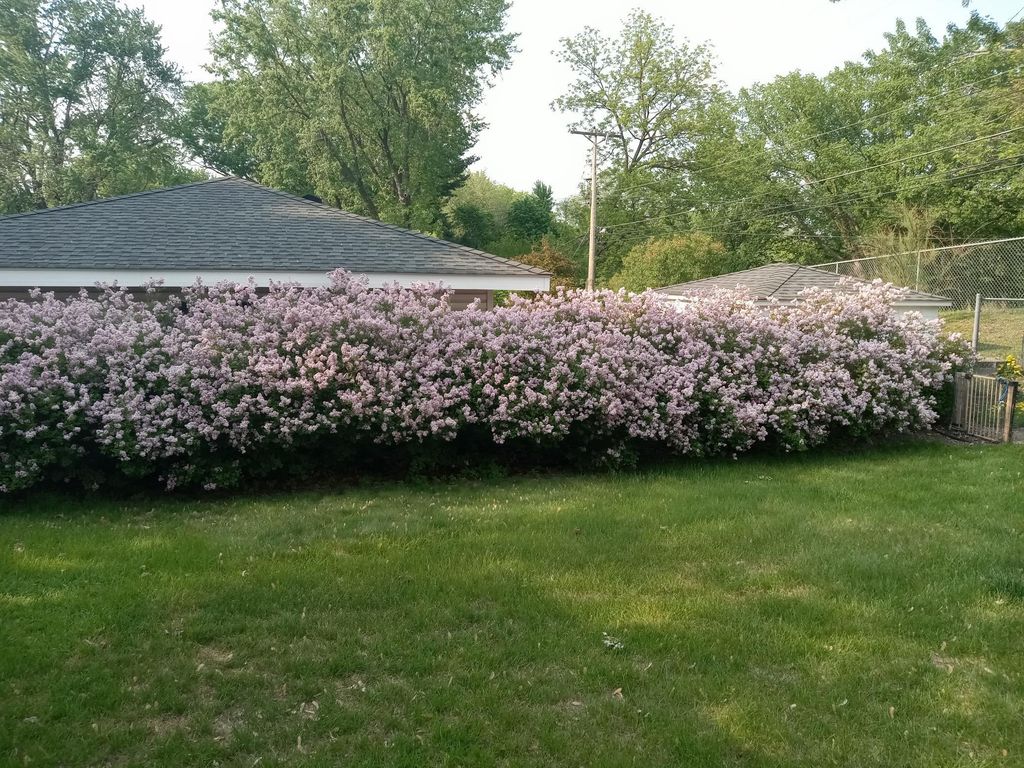 Photo of 3210 W 110th Street, Bloomington, MN 55431 (MLS # 7044034)