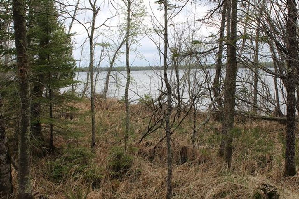 Photo of TBD COUNTY RD 19, Deer River, MN 56636 (MLS # 7008546)