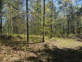 8293 Interlachen Road
