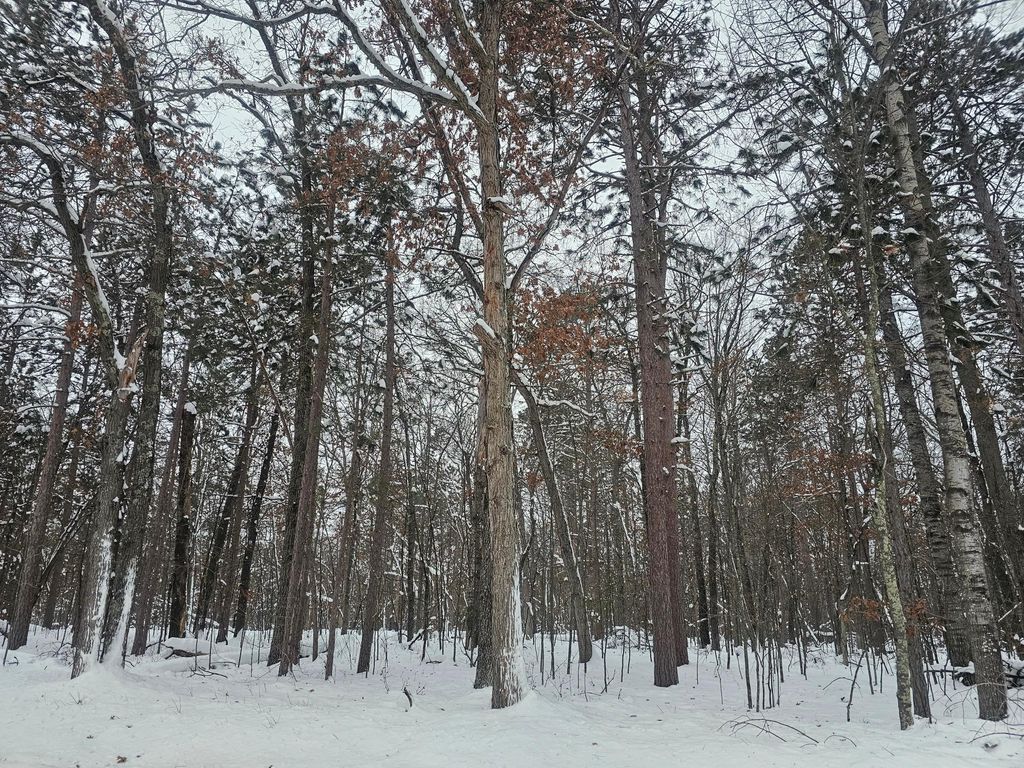 Photo of Lot 6 Long Lake Road, Danbury, WI 54830 (MLS # 7001537)