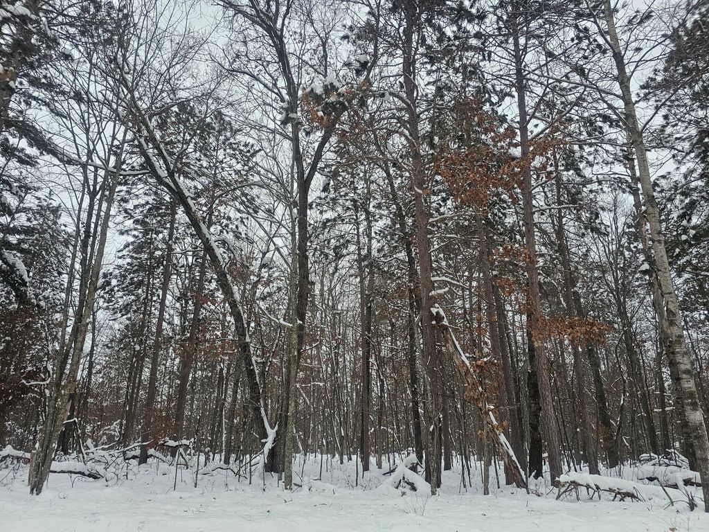 Photo of Lot 6 Long Lake Road, Danbury, WI 54830 (MLS # 7001537)