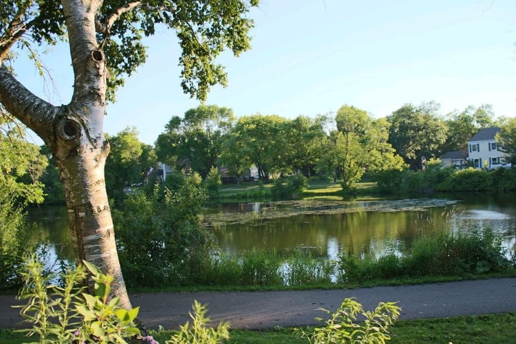 Photo of 6877 Grenwich Lane N, Oakdale, MN 55128 (MLS # 7096122)