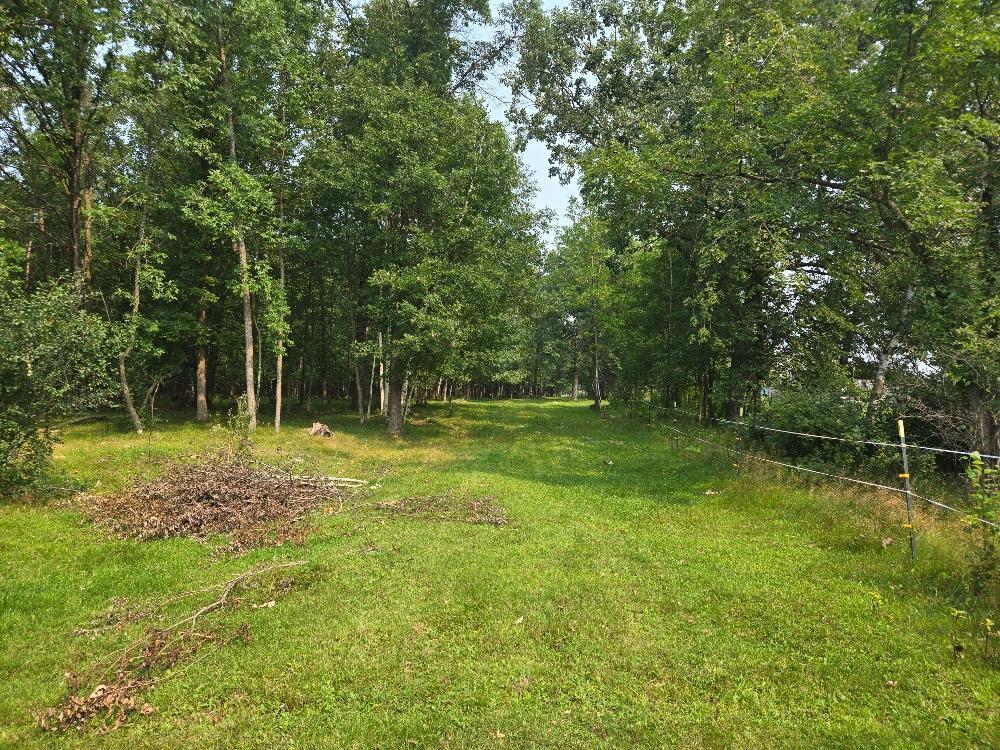 TBD State 87 SW