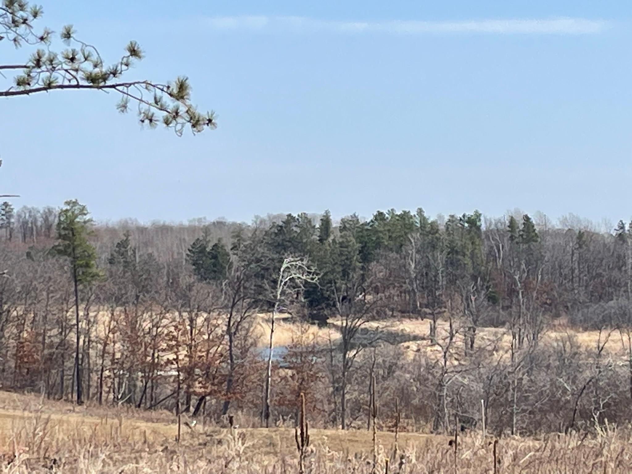 16434 Tom Lehman Drive