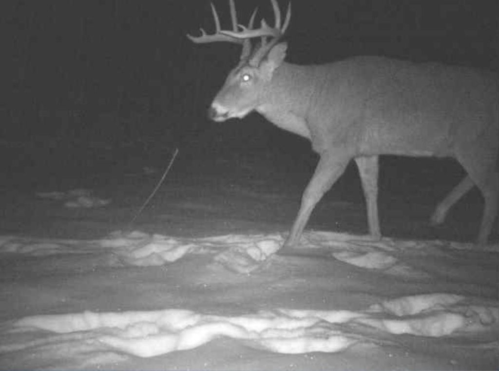 Photo of 27262 151st Avenue, Bagley, MN 56621 (MLS # 7002925)