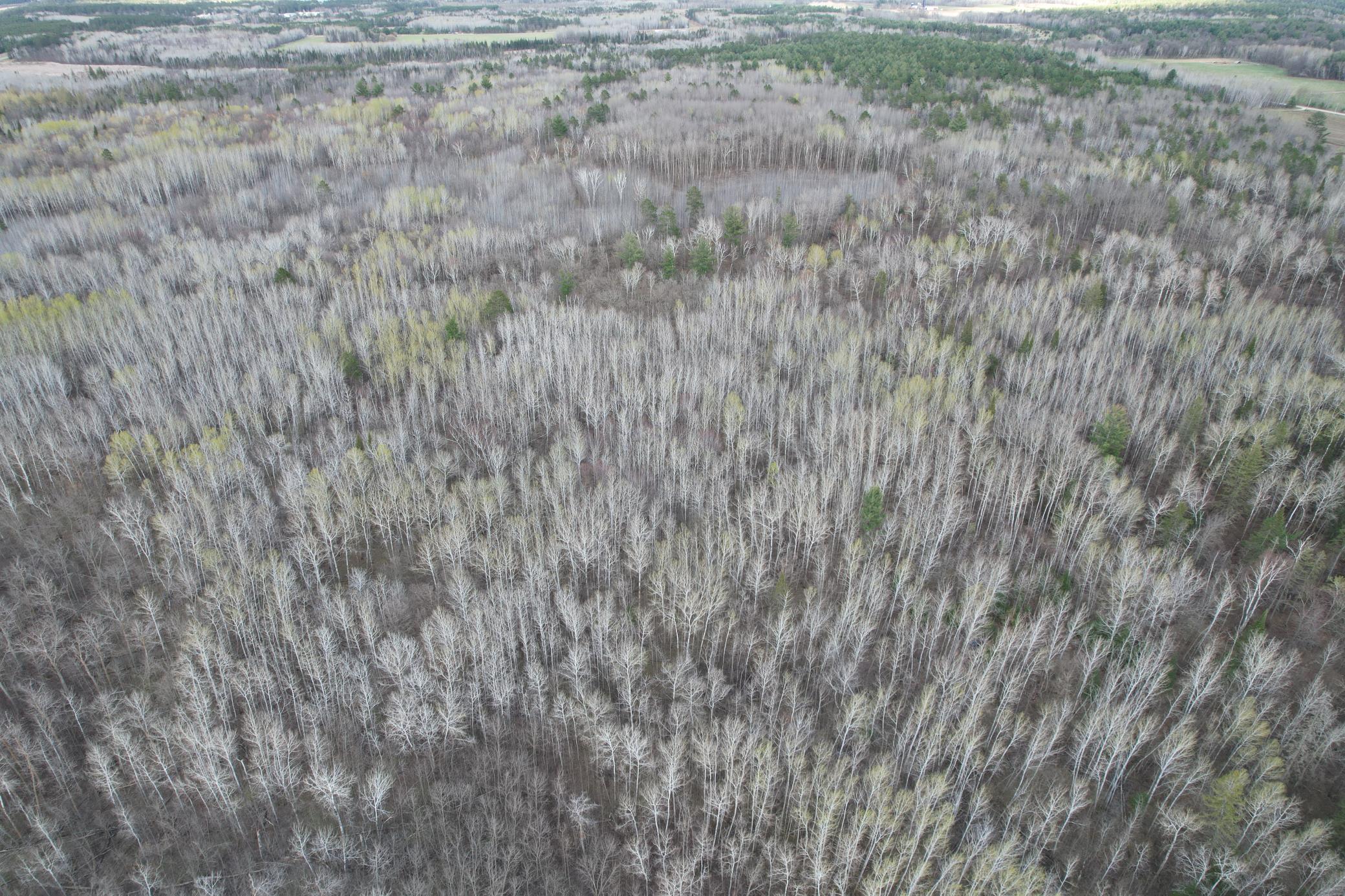 TBD Wadena Line Road