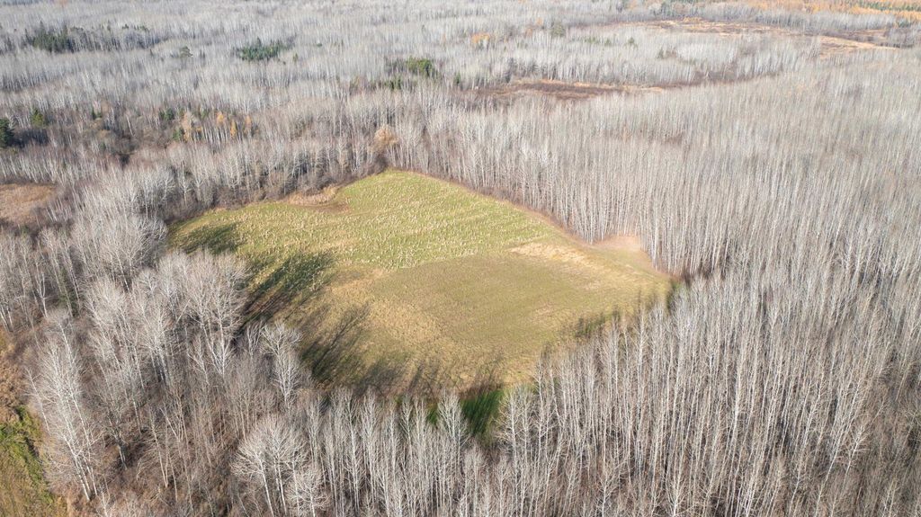 Photo of 11680 County 59 Road, Orr, MN 55771 (MLS # 7044810)